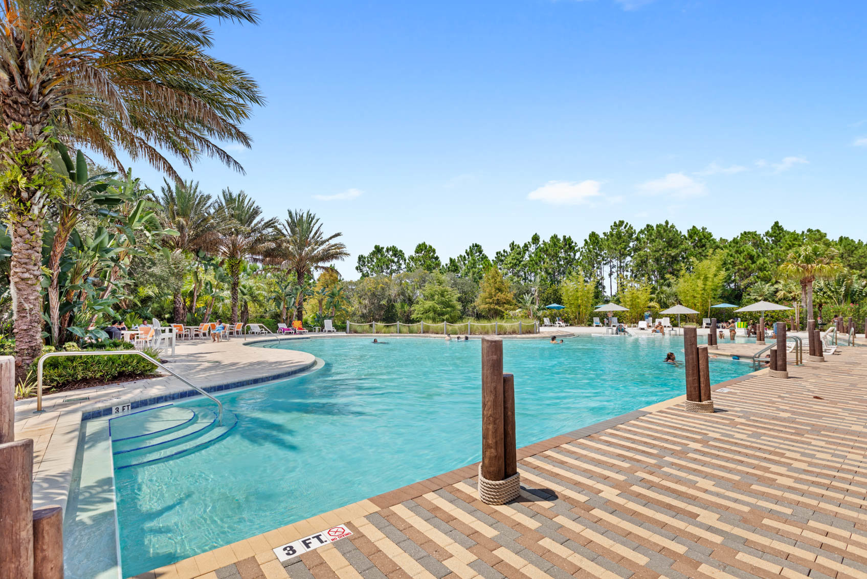 pool with palm trees
